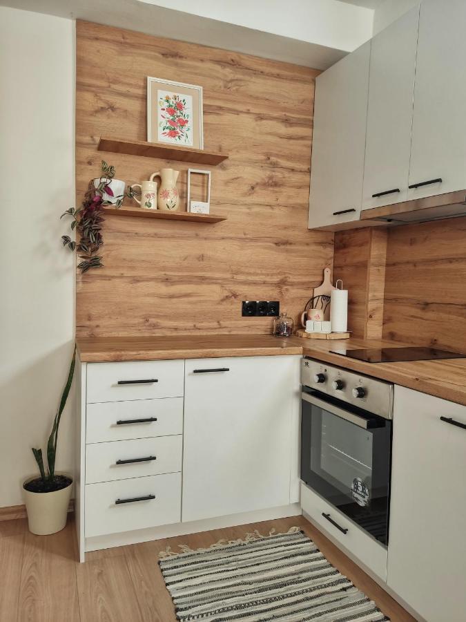 Marko'S Apartment โอครีด ภายนอก รูปภาพ