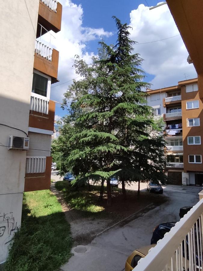 Marko'S Apartment โอครีด ภายนอก รูปภาพ
